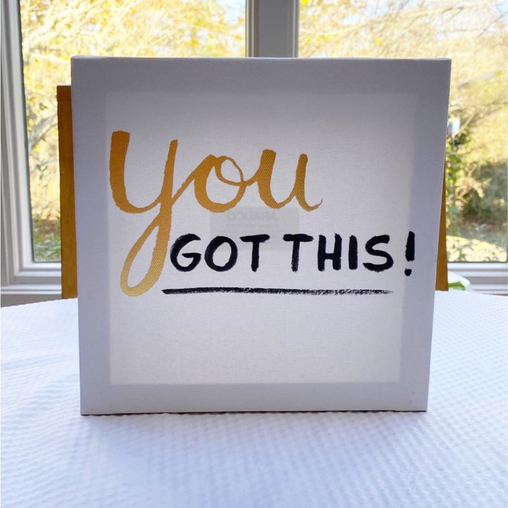 You Got This Canvas Home/Office Decor Accent Sign